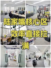 德必陆家嘴WE办公室实景图 1