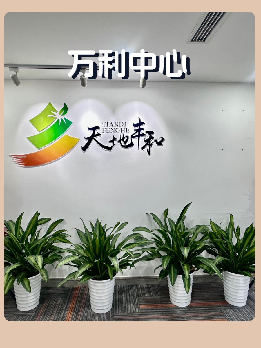 国贸企业必看：生态办公新体验