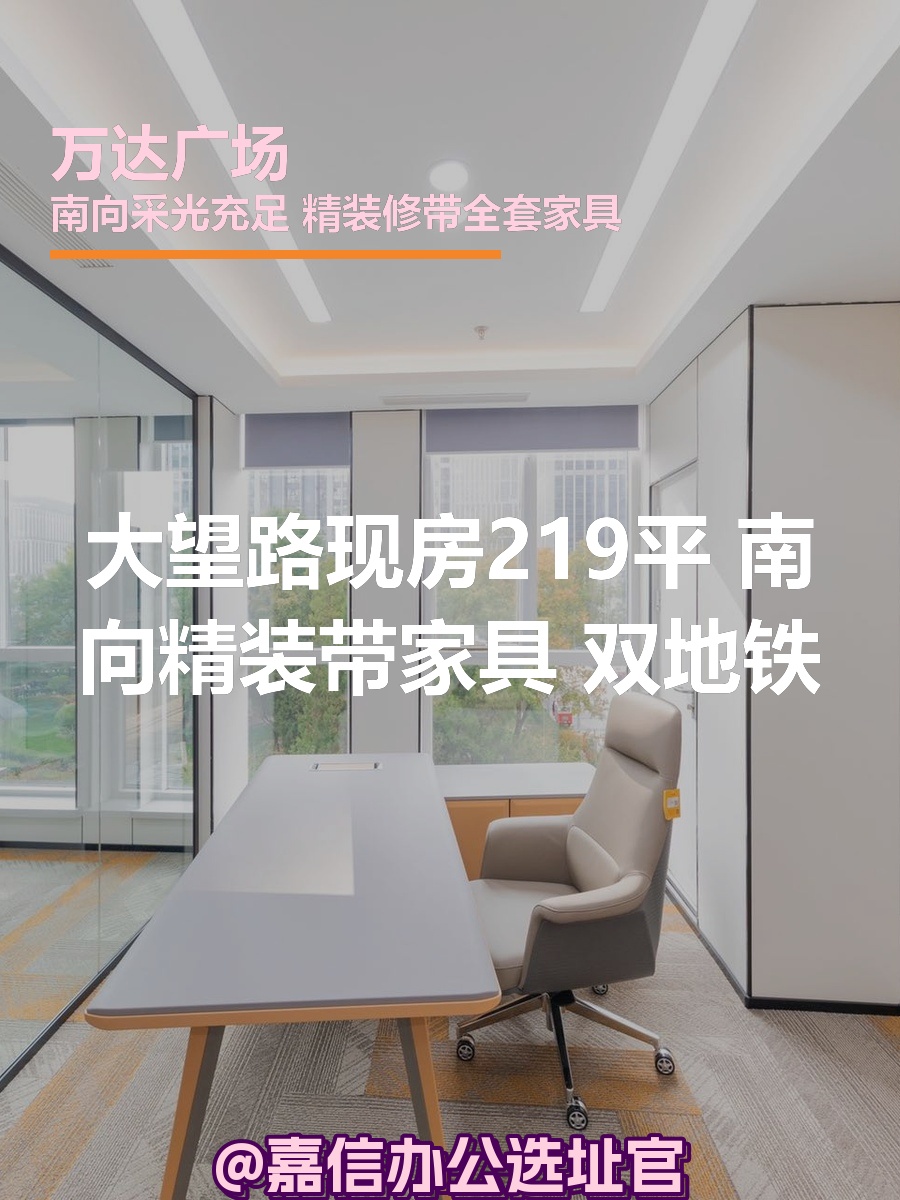 大望路现房219平 南向精装 双地铁