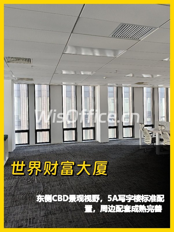 世界财富大厦253.69㎡实景图
