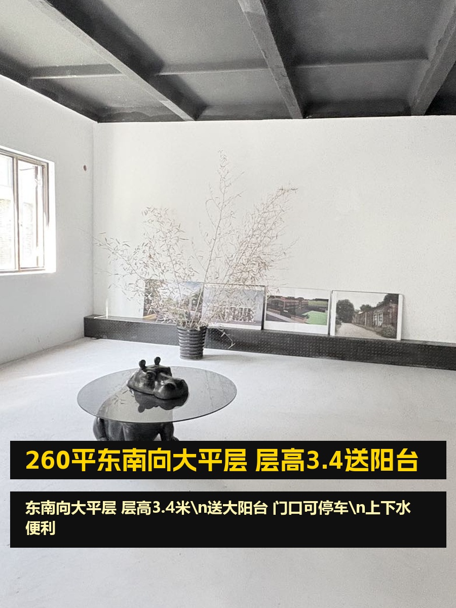 260平东南向大平层 层高3.4送阳台