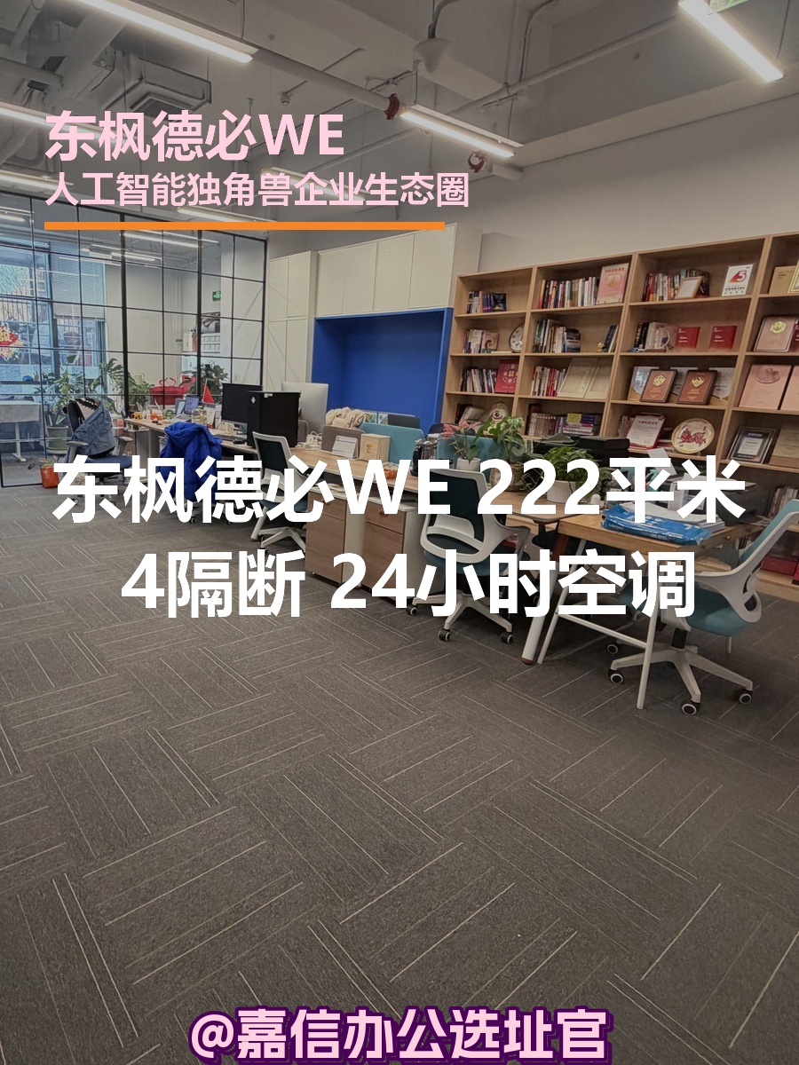 东枫德必WE 222平米 独栋新装 4隔断