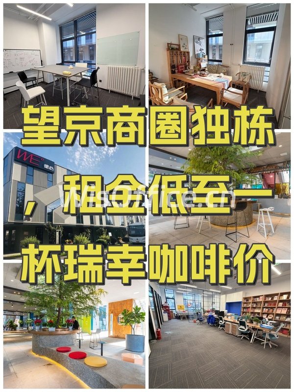东枫德必WE222.73㎡实景图
