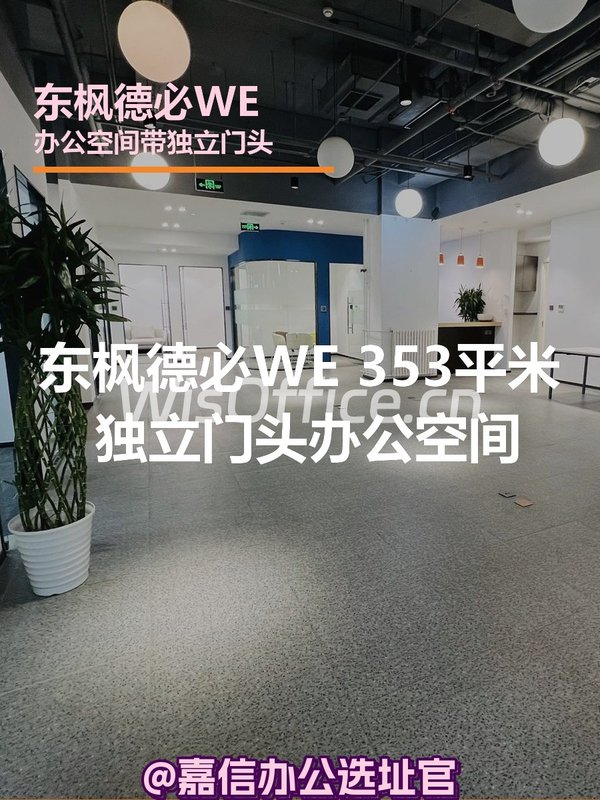 东枫德必WE353.17㎡实景图