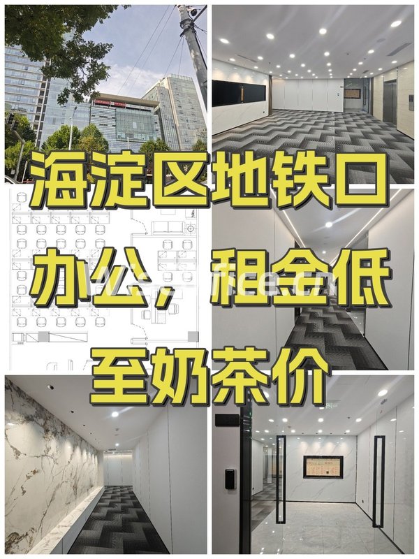 主语国际中心447㎡实景图
