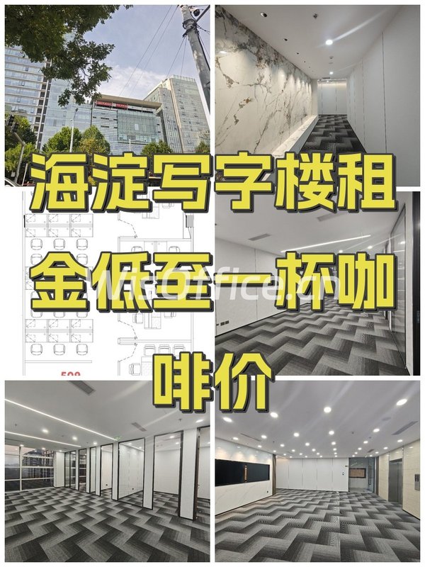 主语国际中心253㎡实景图