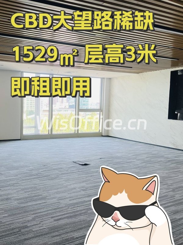 佳兆业广场1529.26㎡实景图