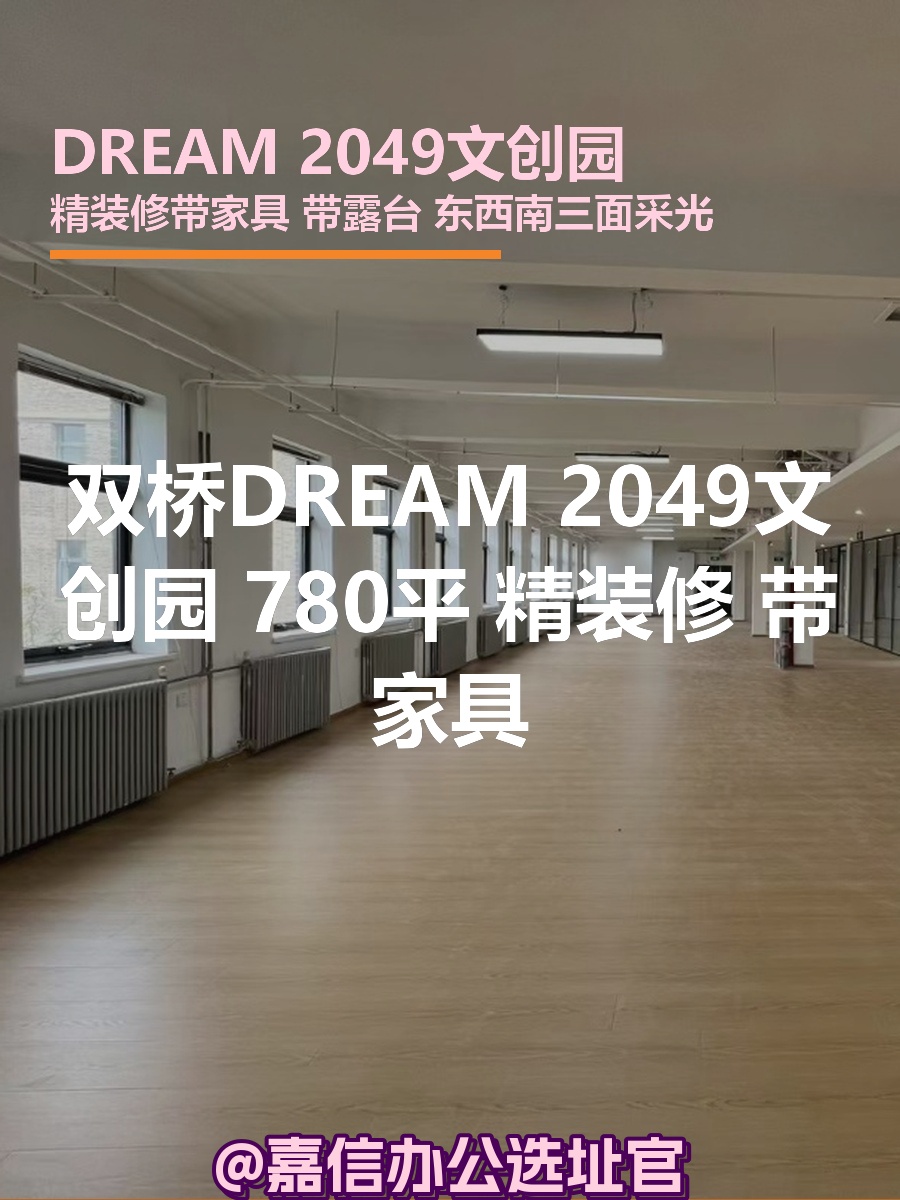 双桥DREAM 2049文创园 780平 精装修 带家具