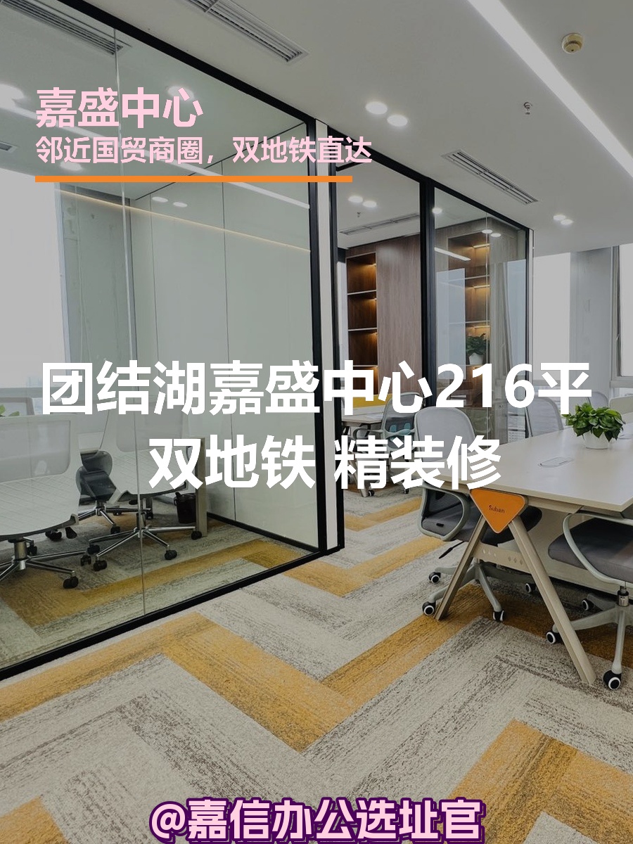 嘉盛中心216平 双地铁 精装修
