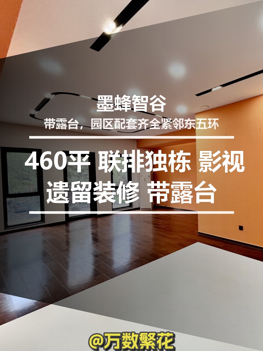 墨蜂智谷 460平 联排独栋 影视遗留装修 带露台