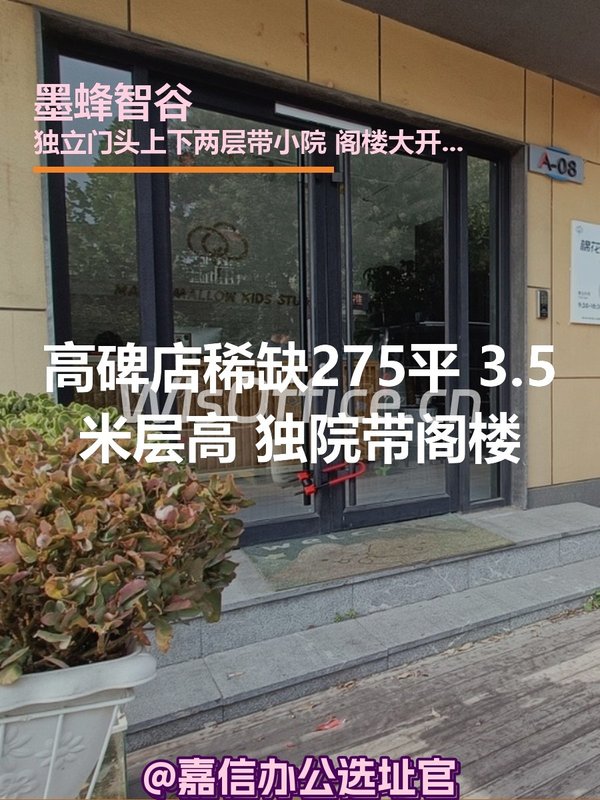 墨蜂智谷275㎡实景图