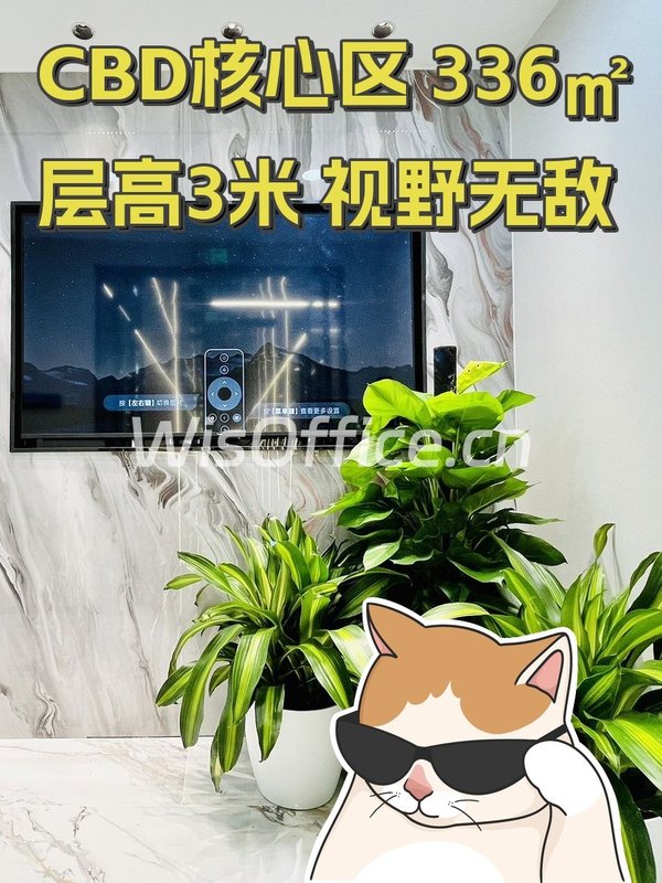 天阶大厦336㎡实景图