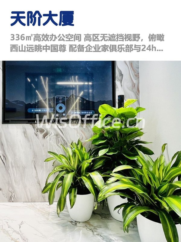 天阶大厦336㎡实景图