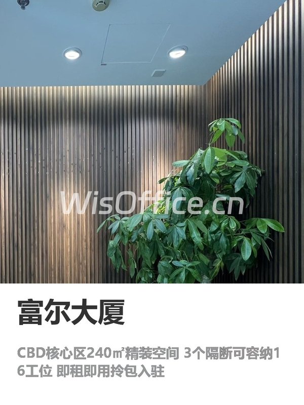 富尔大厦240㎡实景图