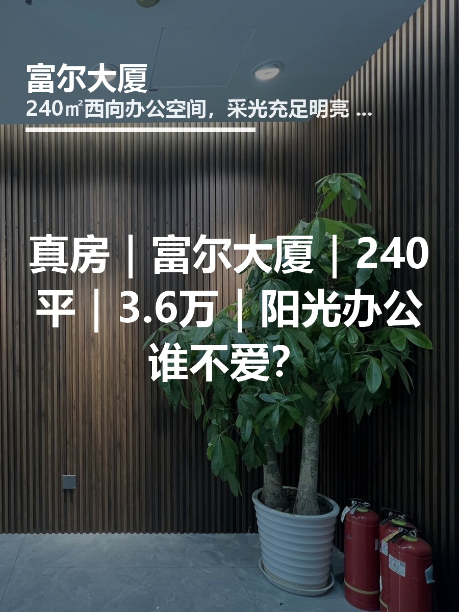 真房｜富尔大厦｜240平｜3.6万｜阳光办公谁不爱？