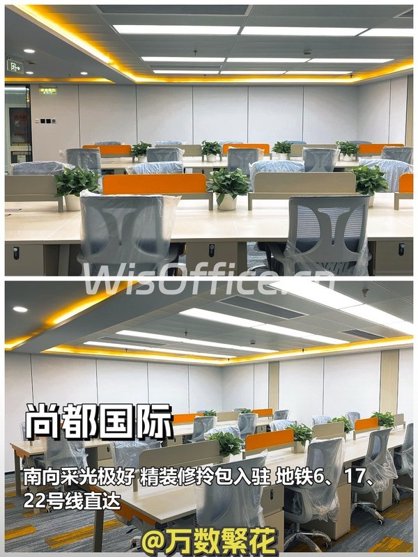 尚都国际268㎡实景图