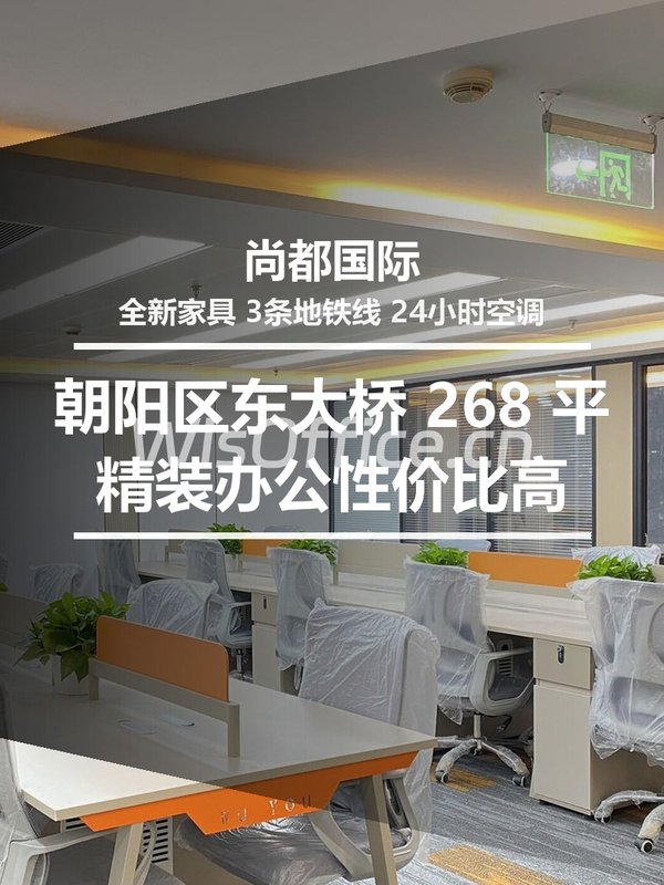 尚都国际268㎡实景图