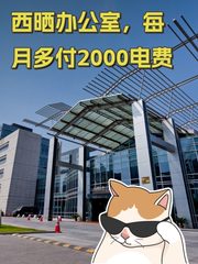 数码科技广场办公室实景图 1