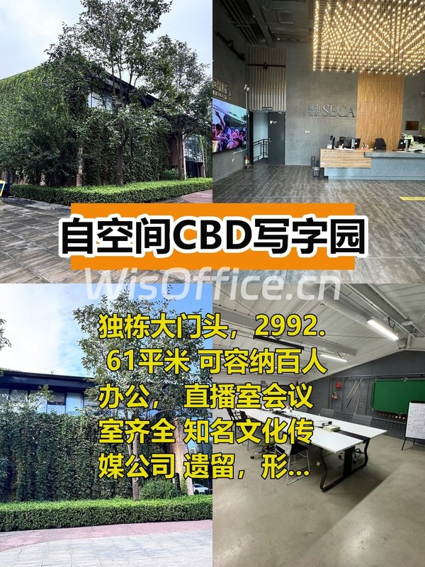 自空间CBD写字园2992.61㎡实景图