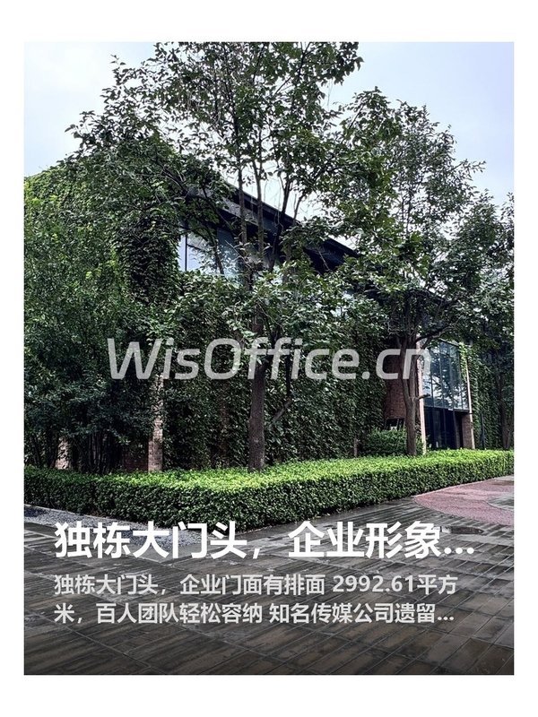 自空间CBD写字园2992.61㎡实景图
