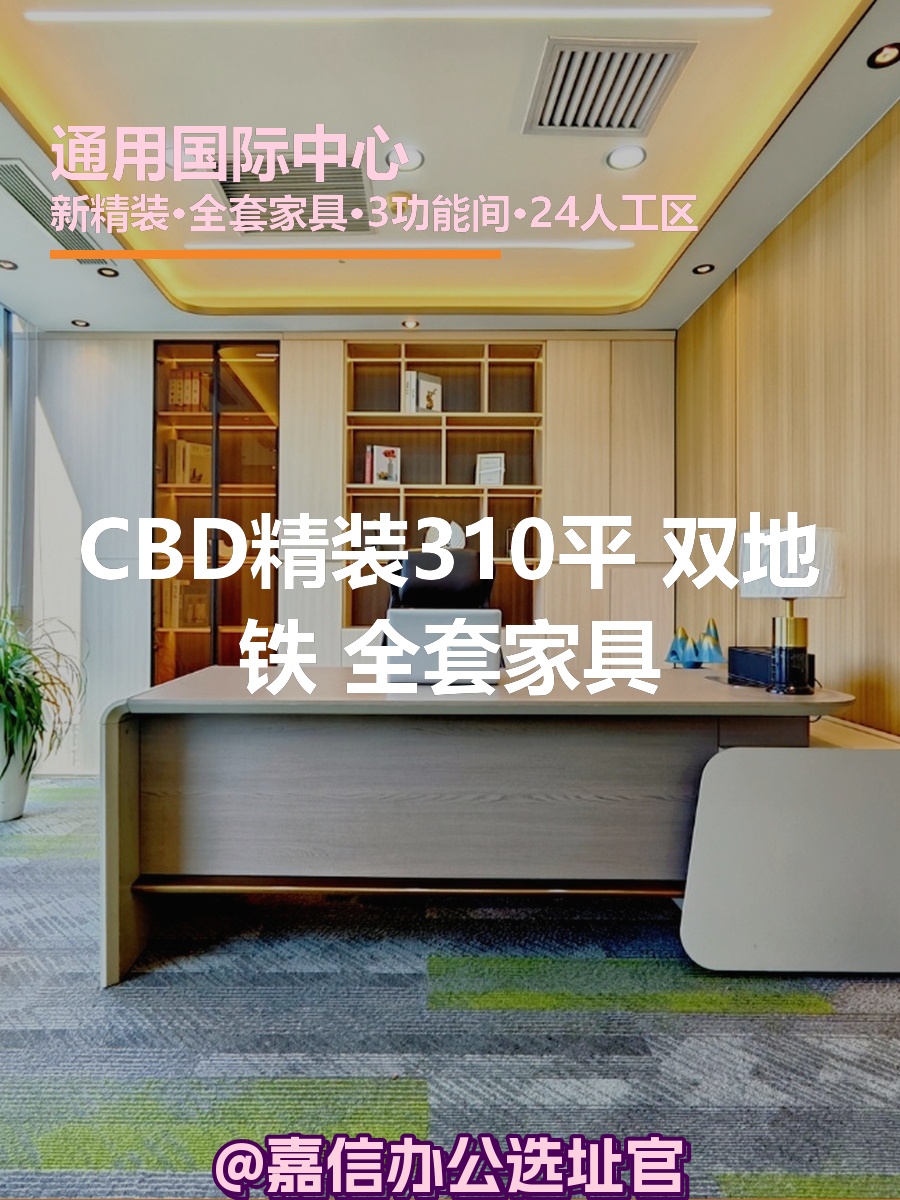 CBD精装310平 双地铁 全套家具