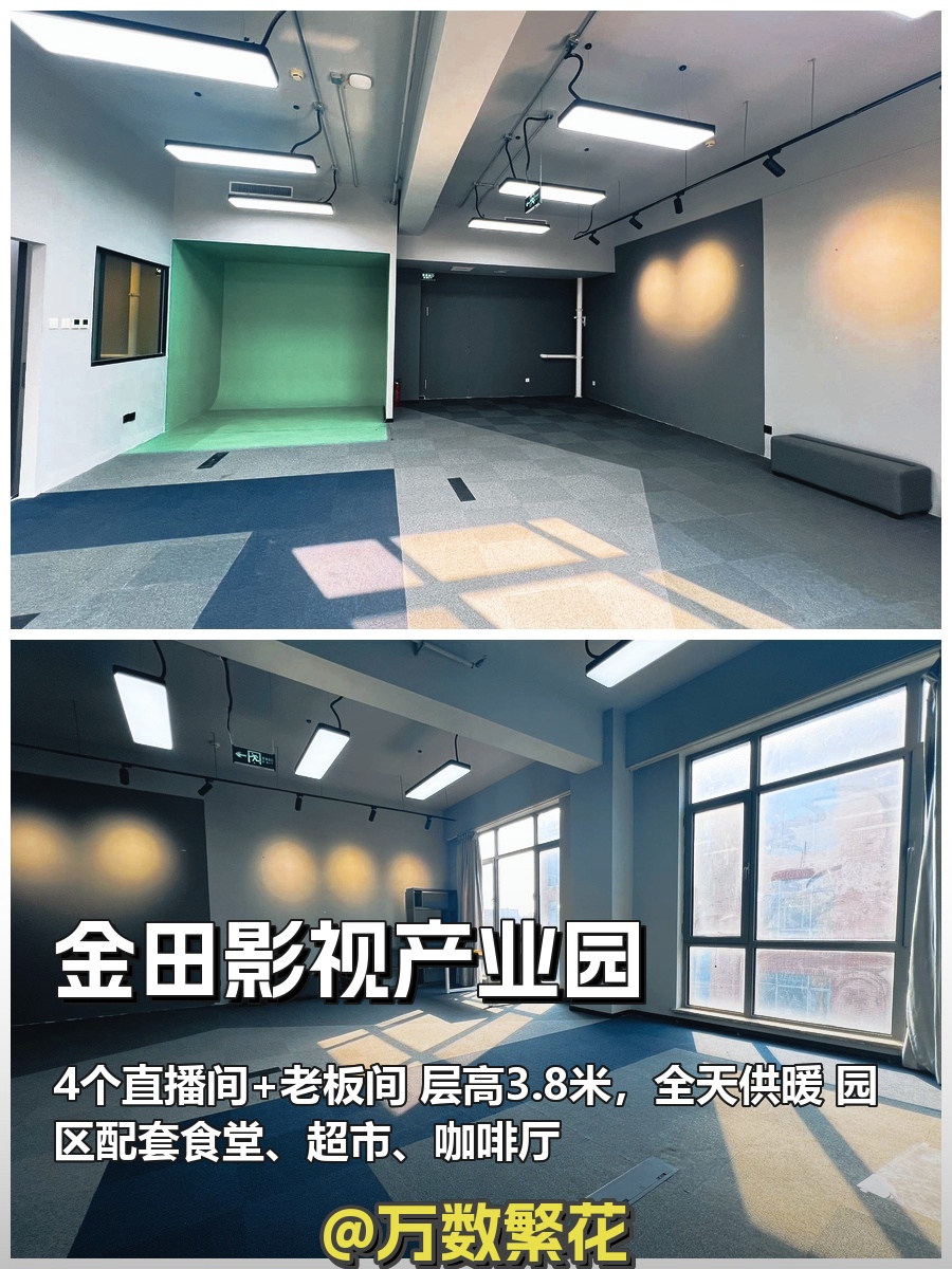 金田影视产业园 267平 4直播间 精装修