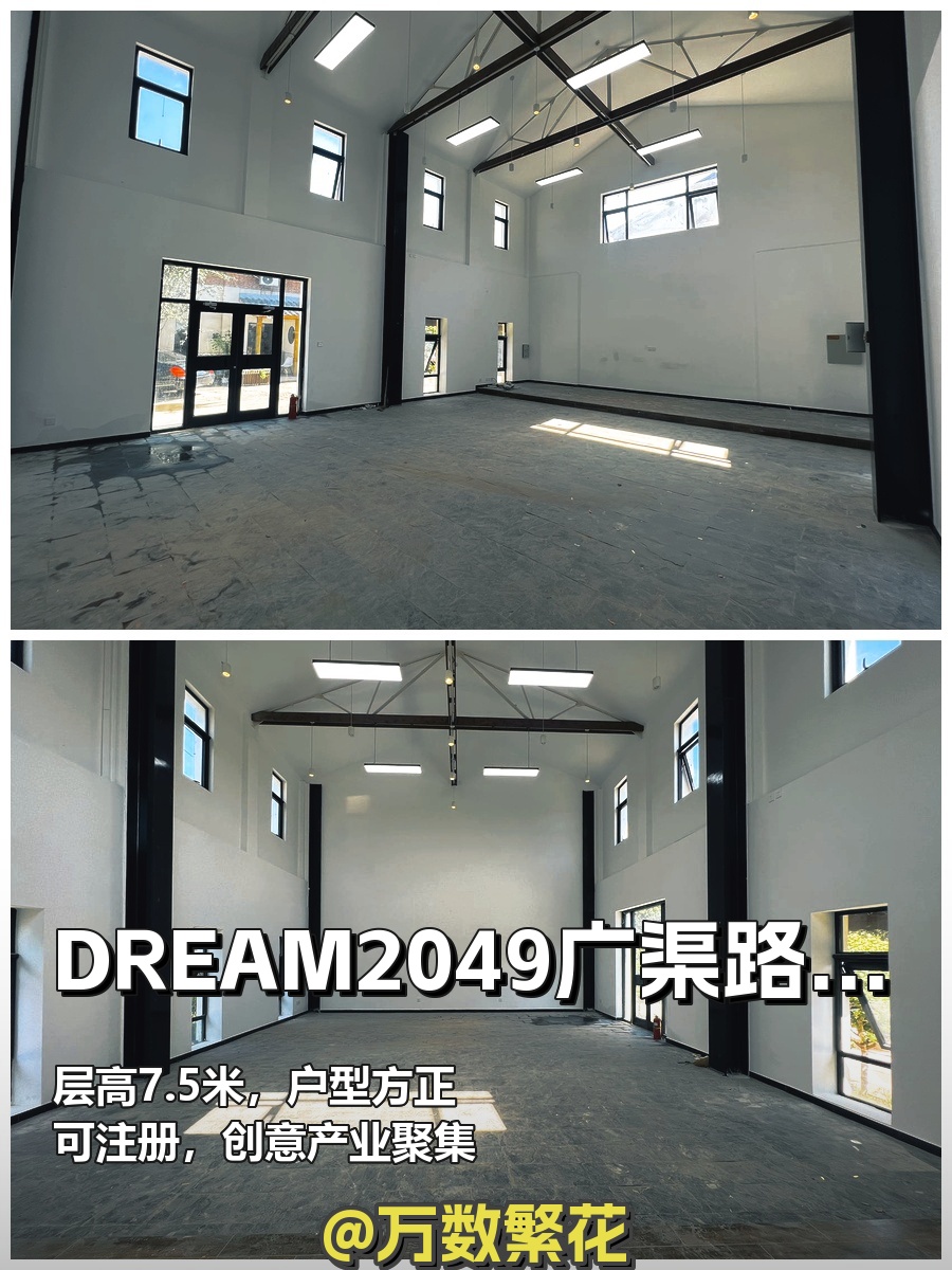 朝阳DREAM2049园区 161㎡ 新装修 高层