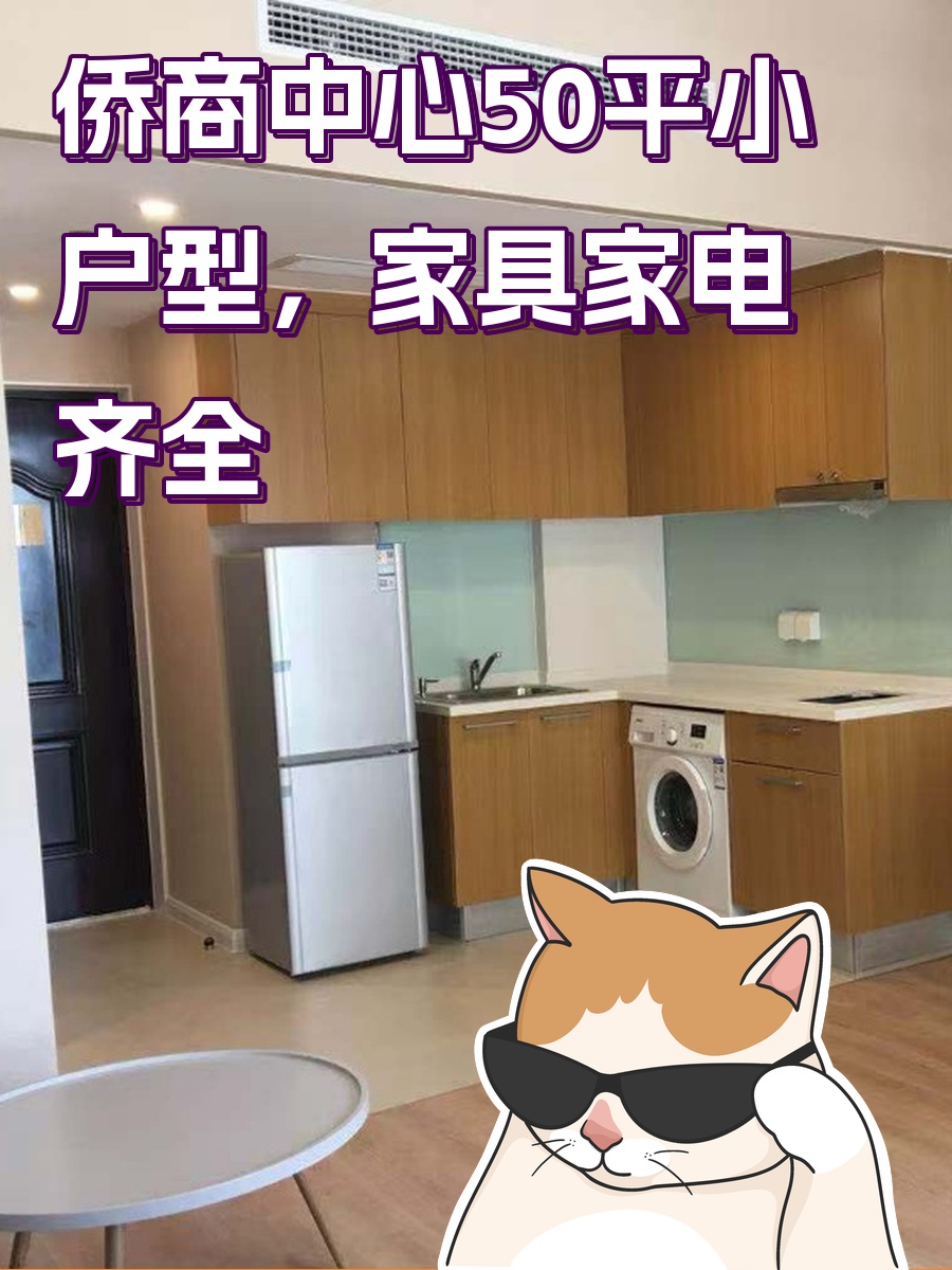侨商中心小户型，家具家电齐全