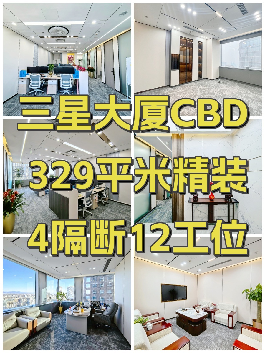 三星大厦CBD 329平米精装 4隔断12工位
