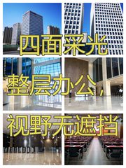 世东国际办公室实景图 1