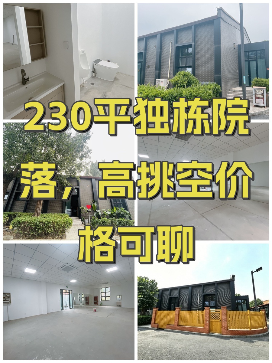 230平独栋院落，高挑空价格可聊