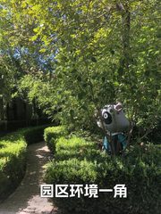百子湾独栋办公室实景图 2