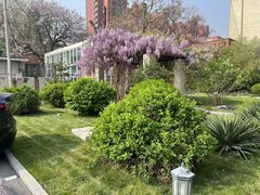 东朝时代独栋671㎡ 新装修 双地铁 - 缩略图 9