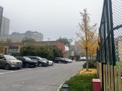 设计圈必看：638㎡露台办公被偷拍 - 缩略图 4