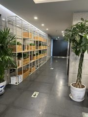 东朝时代378平精装办公 绿植环绕 - 缩略图 8