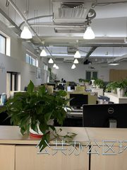 推荐东朝时代900平独栋带小院 - 缩略图 5