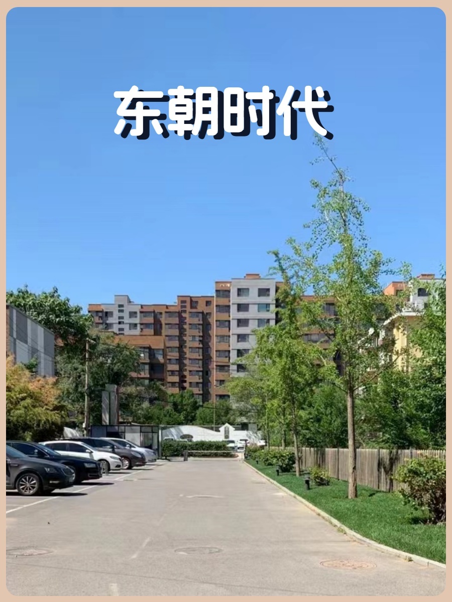 东朝时代900平独栋带小院 百子湾地铁口