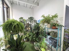 东风艺术区办公室实景图 3