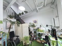 东风艺术区办公室实景图 4