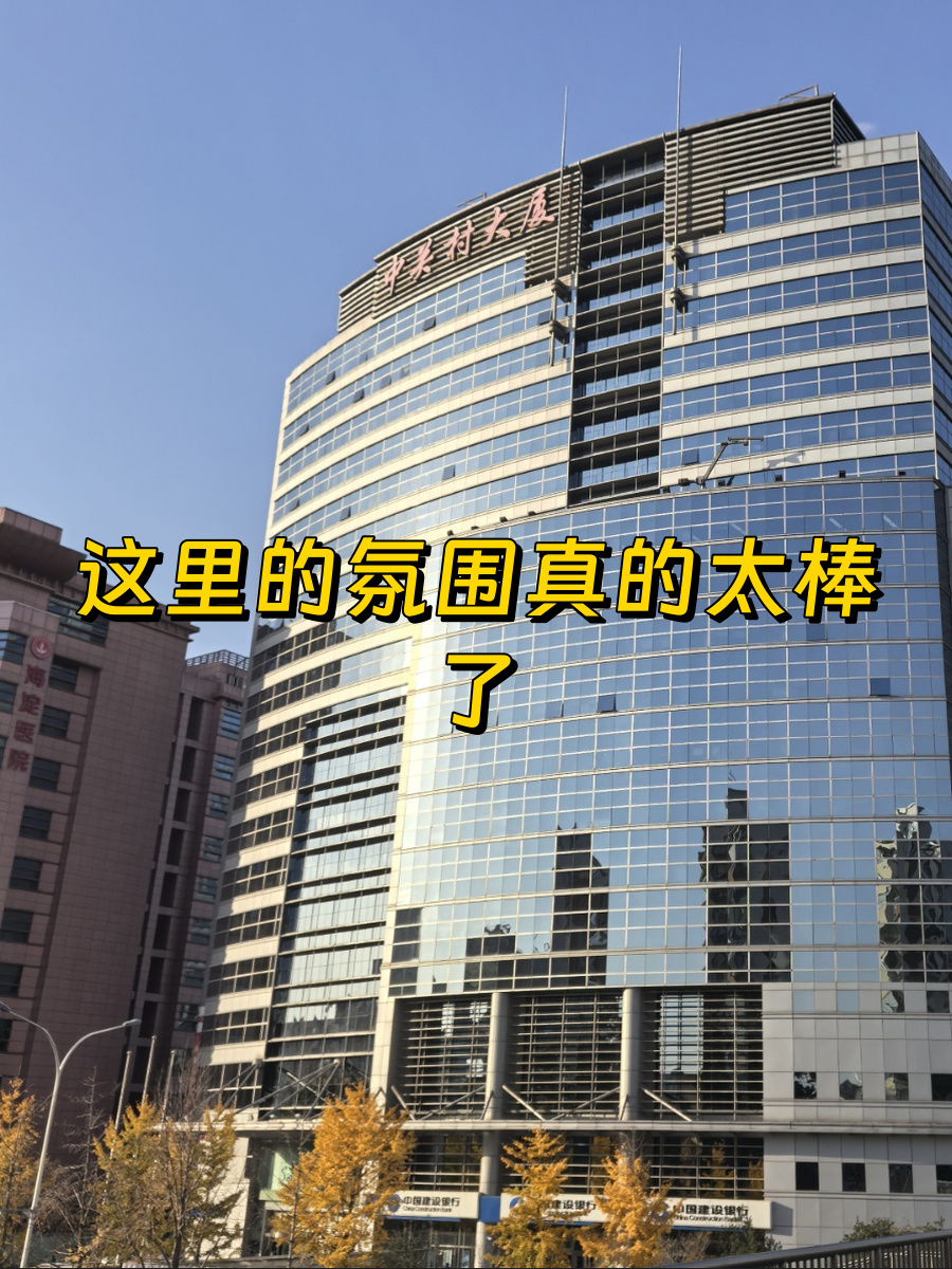 🌆窗边一束光，写字楼里的自然诗篇