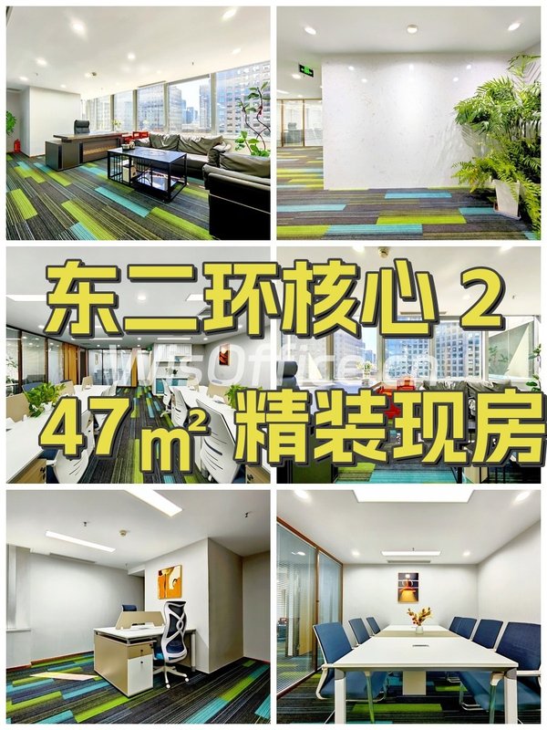 东二环核心 247㎡ 精装现房 - 首图