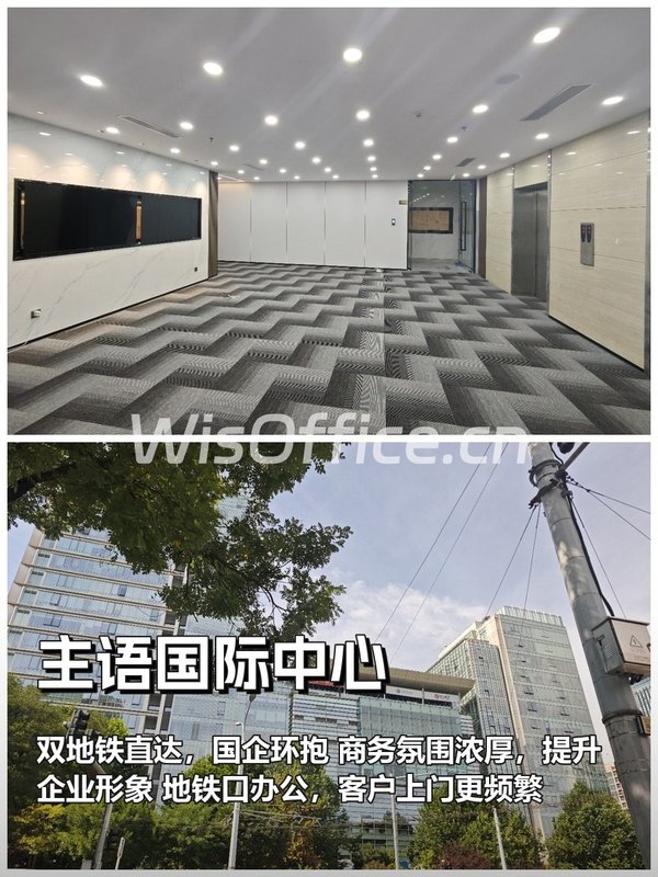 主语国际中心293㎡实景图