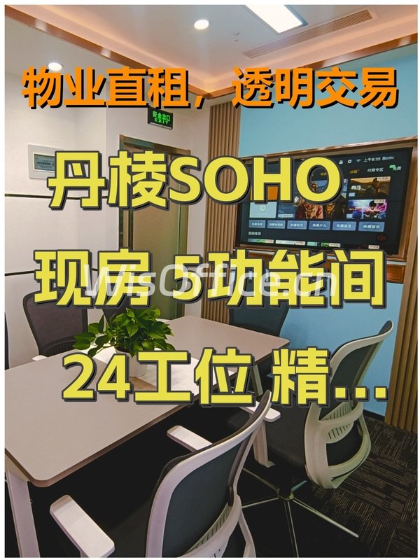 丹棱SOHO295㎡实景图