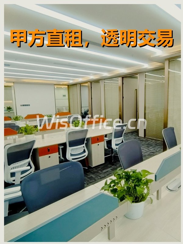丹棱SOHO295㎡实景图