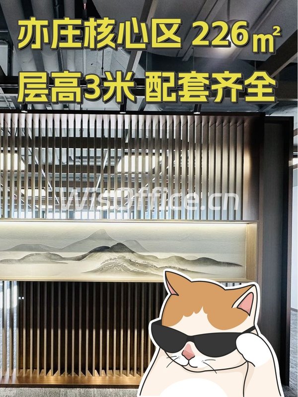 亦庄核心区 226㎡ 层高3米 配套齐全 - 首图