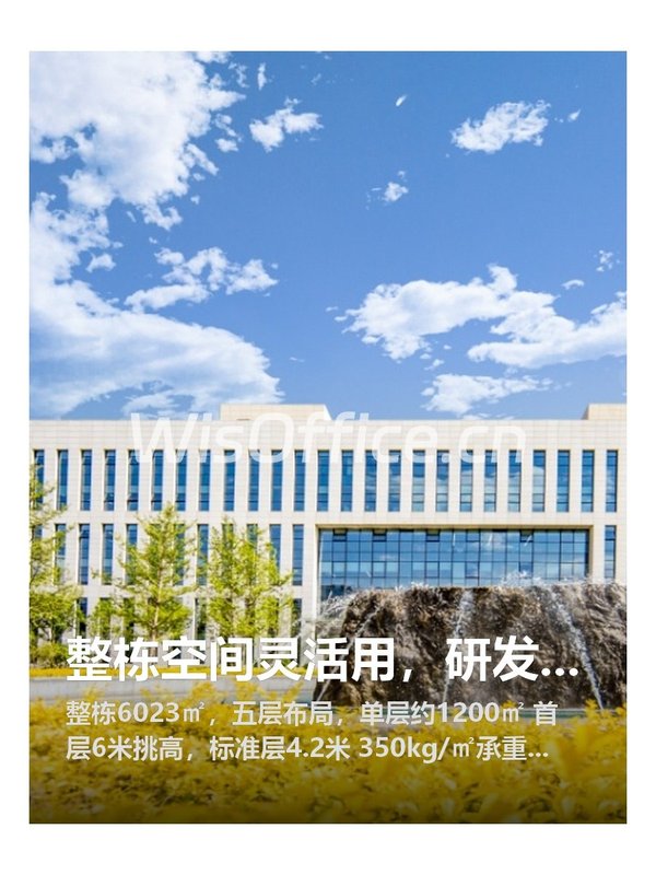京东贝光电产业园6023㎡实景图