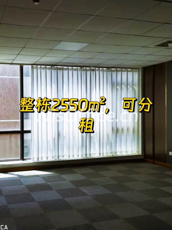 企业墅45–2550㎡实景图
