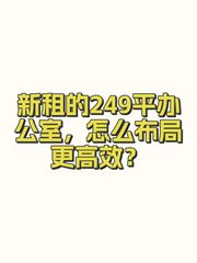 新租的249平办公室，怎么布局更高效？ - 缩略图 1