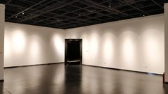 东城现房475平 一墙之隔天坛 楼顶花园 - 缩略图 5