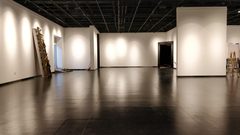 东城现房475平 一墙之隔天坛 楼顶花园 - 缩略图 8